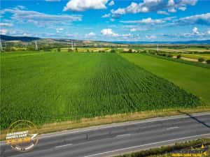 FILM! 30.200 mp teren intravilan,recomandat: investitie exploatare agricola,Valea Crisului — miniatura 2