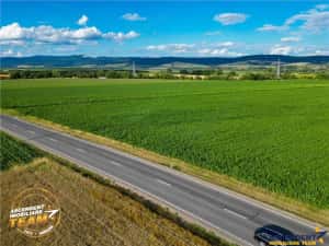 FILM! 30.200 mp teren intravilan,recomandat: investitie exploatare agricola,Valea Crisului — miniatura 3