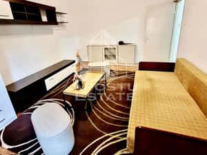 Garsoniera de inchiriat, Pet Friendly, zona Sagului, Timisoara — miniatura 3