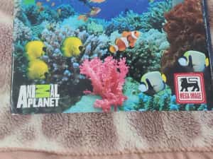 Expeditie in jurul lumii — miniatura 4