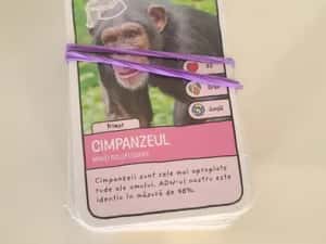 Expeditie in jurul lumii — miniatura 9