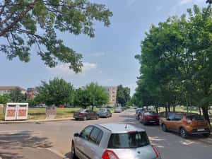 Bucovina Apartament cu o cameră — miniatura 3