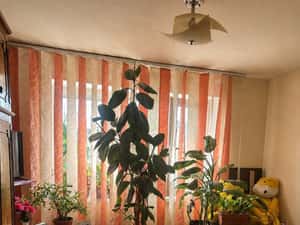 Camera de camin , 19,3 mp, Valea Rosie — miniatura 1