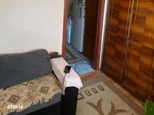 Camera de camin , 19,3 mp, Valea Rosie — miniatura 3