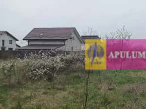 Săbăreni, teren intravilan 3767 mp, cu utilităti — miniatura 3