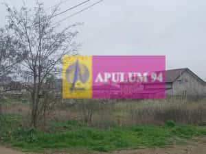 Săbăreni, teren intravilan 3767 mp, cu utilităti — miniatura 4