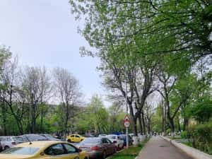 2 camere  Berceni-Sector 4 - Brancoveanu - str Uioara — miniatura 6