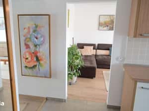 apartament blv Nicolae Titulescu — miniatura 4