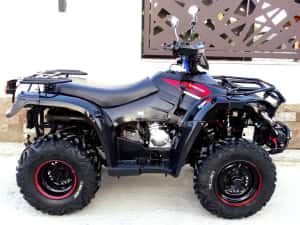 ATV LINHAI 300 Dragonfly ‼️2020‼️4x4‼️nu (can am,cf moto ,tgb,suzuki) — miniatura 7