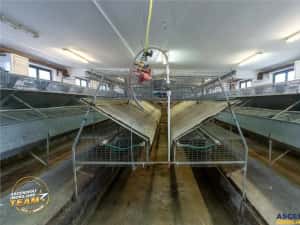 FILM! Ferma de iepuri,Malnas,Covasna: domeniu:comercial industrial,asset UE — miniatura 4