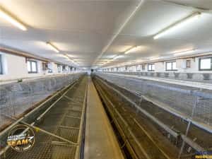 FILM! Ferma de iepuri,Malnas,Covasna: domeniu:comercial industrial,asset UE — miniatura 8