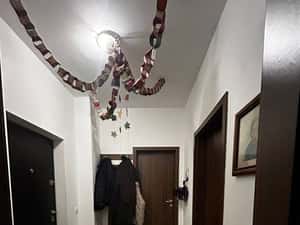 Apartament cu o camera — miniatura 4