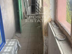 Comision 0 la cumpărător ,casa în Petrovaselo cu 2518 mp teren — miniatura 9