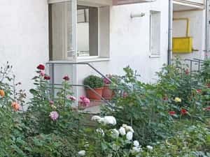 Spatiu comercial-apartament parter bloc — miniatura 1