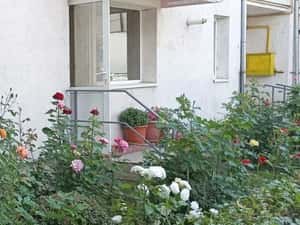 Spatiu comercial-apartament parter bloc — miniatura 5