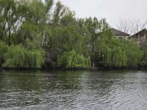 Vila premium - acces lac - investitie sigura - Tunari, Ilfov