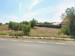 Teren intravilan 5.000 mp | Tămădău Mare | DN3 | Parcelabil