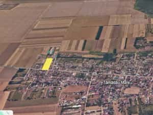 Teren intravilan 5.000 mp | Tămădău Mare | DN3 | Parcelabil — miniatura 3