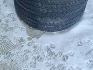 215 65 16C,4buc iarnă Semperit, toate au peste 6mm