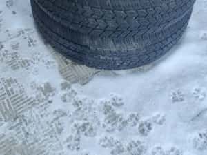 215 65 16C,4buc iarnă Semperit, toate au peste 6mm — miniatura 7