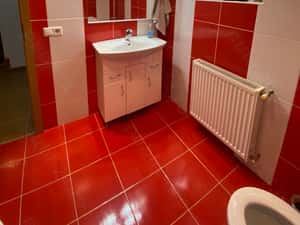 Ghiroda, casa tip duplex, Parter+Mansardă+Pod, suprafață utilă 115 mp, preț 210000 euro negociabil — miniatura 6