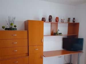 Apartament 2 camere de închiriat în Turnișor — miniatura 5