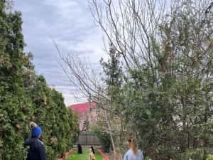 Dresaj Canin Iasi — miniatura 3