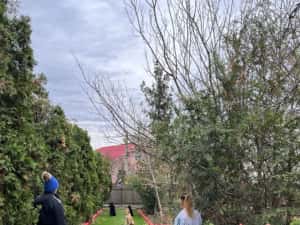 Dresaj Canin Iasi — miniatura 9