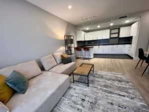 Apartament/Garsoniera in Regim Hotelier — miniatura 10