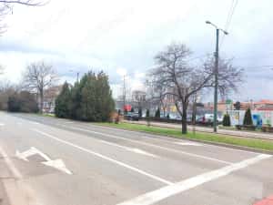 badea cărțan garsonieră de închiriat — miniatura 4