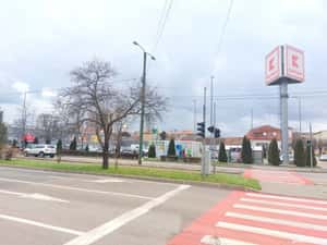 badea cărțan garsonieră de închiriat — miniatura 5