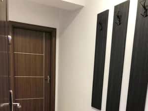 De inchiriat apartament 1 camera in zona Calea Sagului — miniatura 3