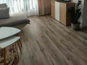 Casa 4 camere 2 bai de vanzare in Șelimbar — miniatura 3