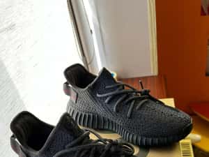Adidas yeezy boost 350 v2