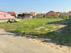 Teren intravilan com Bors, 563 mp, 32 ml front- Pret 36.000 euro neg — miniatura 5
