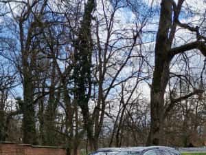 Audi A4 Combi 2.0TDI 150ps 2017 — miniatura 1