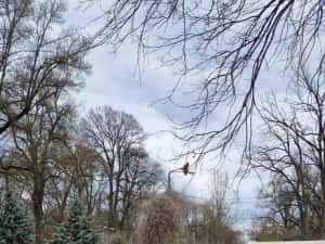 Audi A4 Combi 2.0TDI 150ps 2017 — miniatura 3