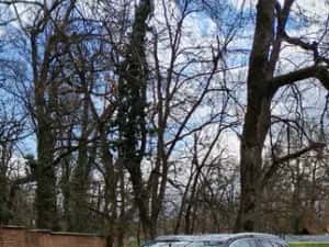 Audi A4 Combi 2.0TDI 150ps 2017 — miniatura 9