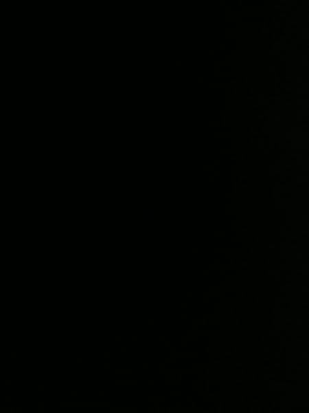 Primesc eleva în gazda — fotografie 1 din 6