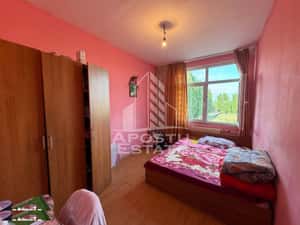 Apartament cu 1 camera de vanzare , etaj intermediar, Blascovici