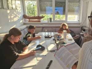 Meditatii Romana — miniatura 7