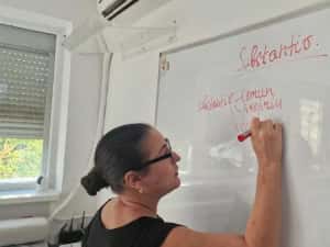 Meditatii Romana — miniatura 8