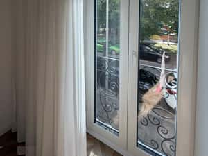 Apartament 2 camere, loc parcare, Floreasca — miniatura 3