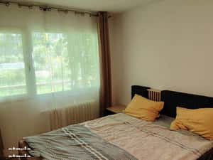 Apartament 2 camere Podu Ros , 45 metri, etaj parter Cod:162514 — miniatura 3