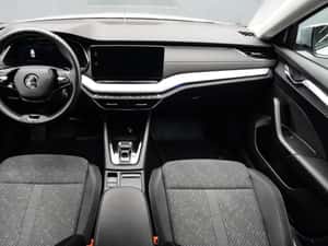 2021 Skoda Octavia 2.0 TDI DSG Style 150 Cai Automata Euro 6 — miniatura 7