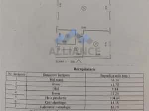 Baza 3,Silk District, hala 600 mp utili si teren 1000 mp — miniatura 2