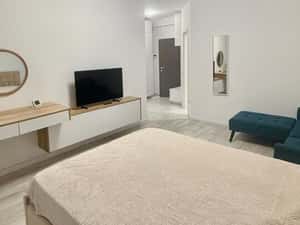 PIATA NICOLINA, APARTAMENT CU O CAMERA DECOMANDAT, MUTARE IMEDIATA — miniatura 4