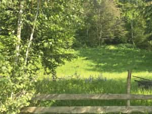 Teren intravilan de vanzare in Colibita