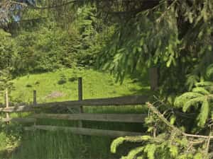 Teren intravilan de vanzare in Colibita — miniatura 3