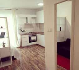 Apartament cu o camercde închiriat — Nufărul | loc de parcare inclus — miniatura 6